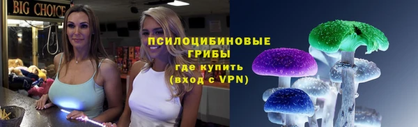 дживик Киренск