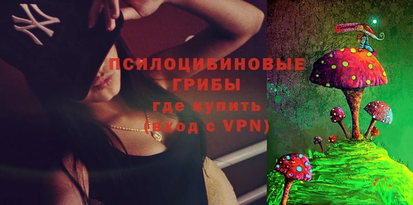 дживик Киренск