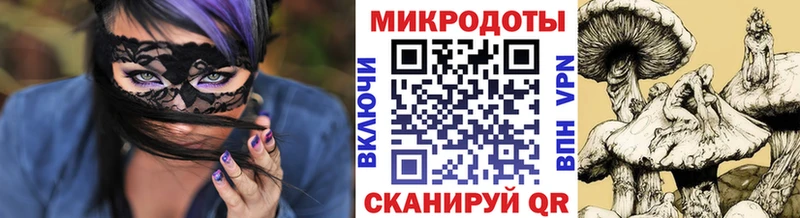 Купить закладки  Рудня  Псилоцибиновые грибы GOLDEN TEACHER 